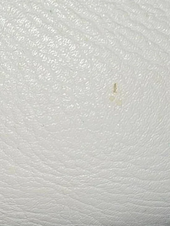 2000s White Skull and rhinestone clutch with four-ring knuckle clasp - Picture 10 of 11